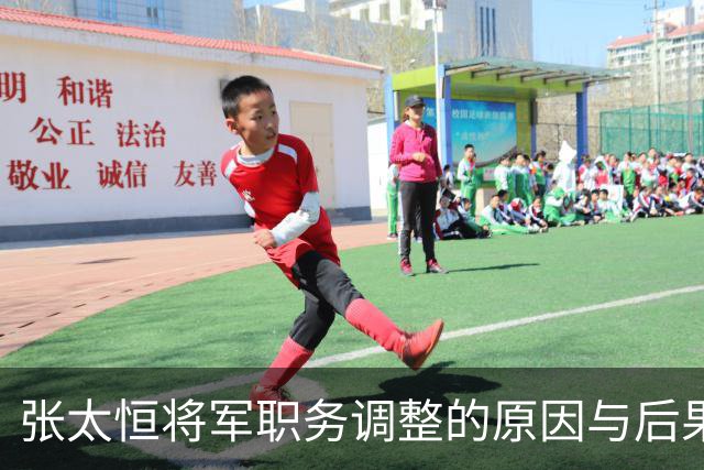张太恒将军职务调整的原因与后果分析